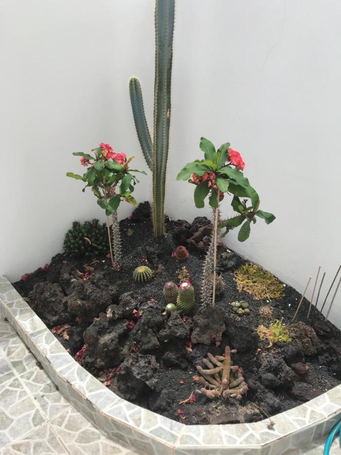 Apartamento Piscis 卡门港 外观 照片